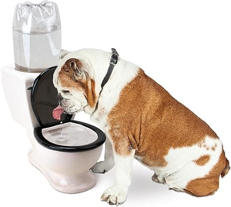 Ceramic toilet-shaped pet water bowl with bottle attachment, hilarious drinking dish for dogs and cats
