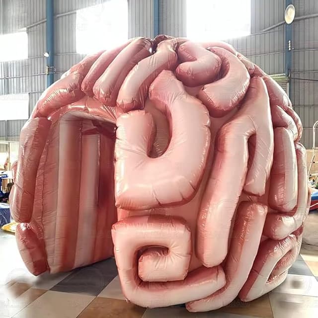 Massive inflatable brain-shaped tent for medical exhibits, teaching events, or outdoor displays that scream “neuroscience, but fun.”