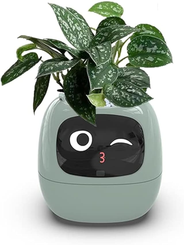 Funny AI flowerpot with silly expressions acting like a digital pet for your living room