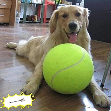Oversized tennis ball next to a happy dog—ideal for giant games of fetch and total backyard mayhem.
