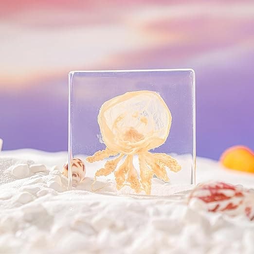 Authentic taxidermy jellyfish encased in clear resin—eerie and beautiful specimen for collectors, classrooms, or creepy home decor.