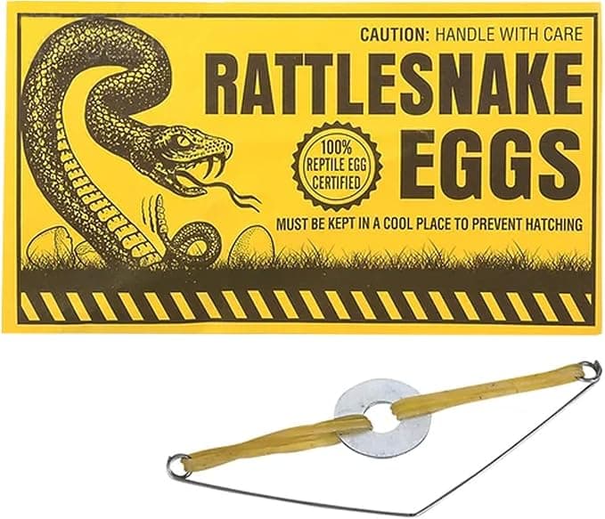 Plain envelope with hidden rattle egg inside—harmless but hilarious prank for mailboxes, desks, or unsuspecting victims.