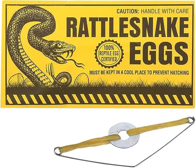 Plain envelope with hidden rattle egg inside—harmless but hilarious prank for mailboxes, desks, or unsuspecting victims.
