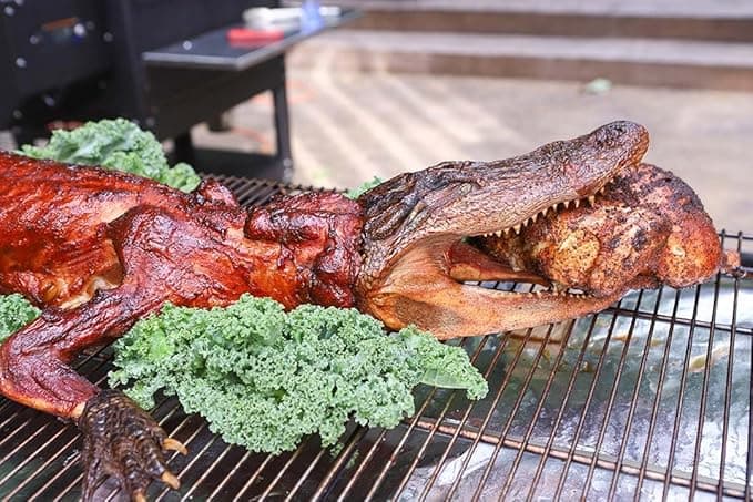 A whole raw alligator, 25lbs of scaly chaos—perfect for grilling, gag gifting, or summoning Florida energy anywhere.