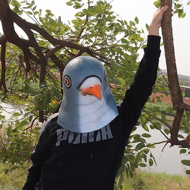 Latex full-head pigeon bird mask worn for Halloween, costume parties, or hilarious pranks
