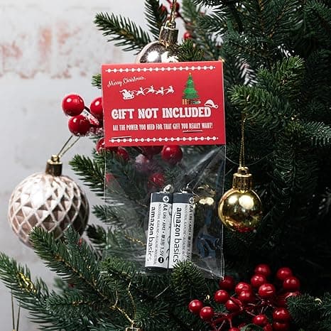 Two AA batteries in a bag labeled “Gift Not Included” — the world’s most hilariously disappointing gag gift